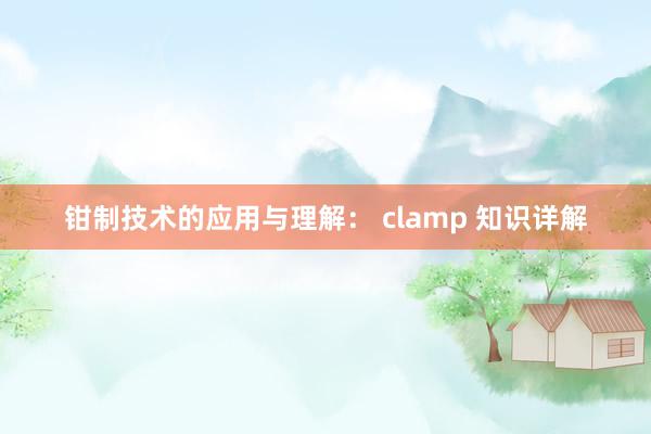 钳制技术的应用与理解： clamp 知识详解