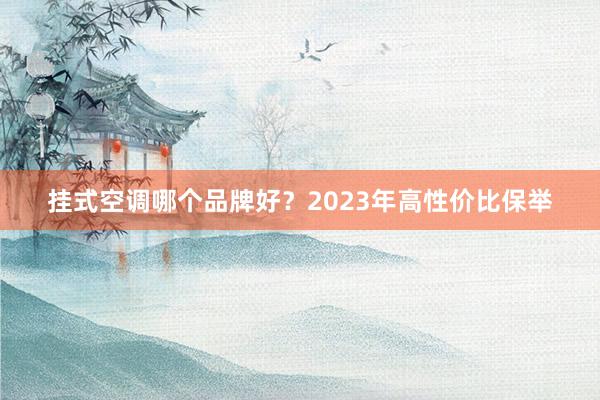 挂式空调哪个品牌好？2023年高性价比保举