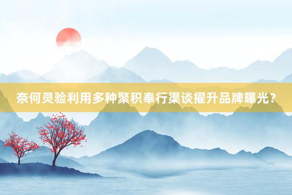 奈何灵验利用多种聚积奉行渠谈擢升品牌曝光？