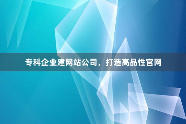 专科企业建网站公司，打造高品性官网