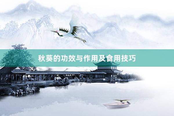 秋葵的功效与作用及食用技巧