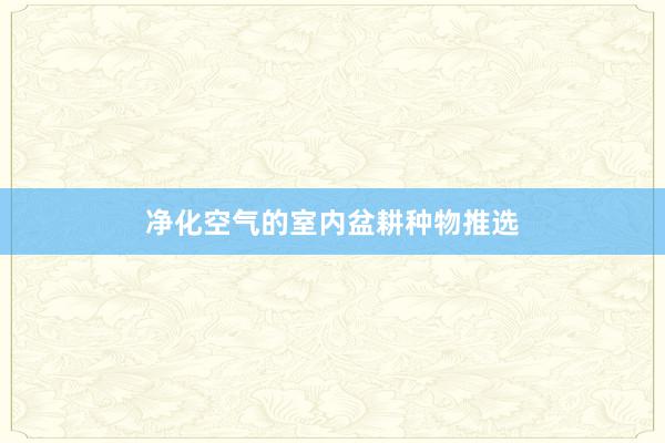 净化空气的室内盆耕种物推选